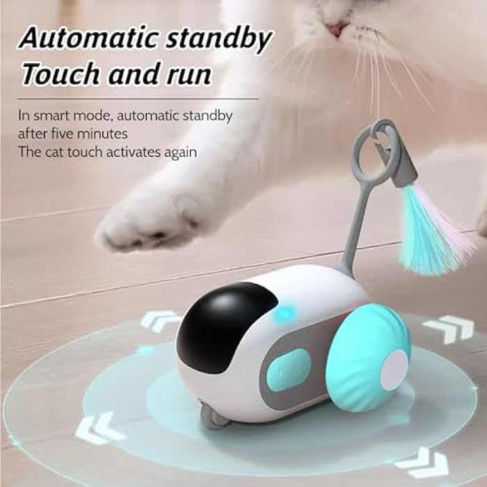 FluffyFun™⎜Ultimatives Katzenspielzeug für glückliche Katzen