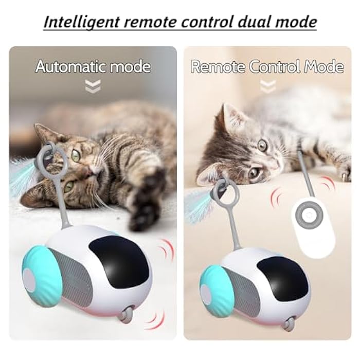 FluffyFun™⎜Ultimatives Katzenspielzeug für glückliche Katzen