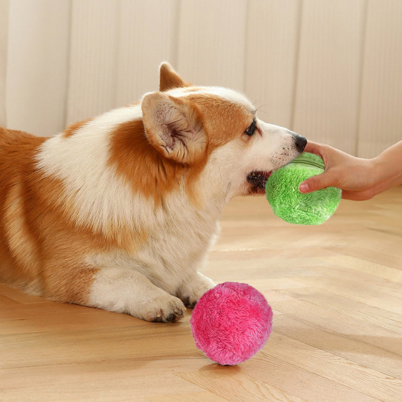 HappyBall™️ | Mehr Interaktion, mehr Spaß!